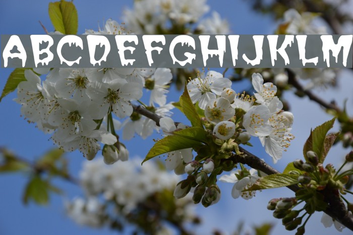 Blood Cyrillic Font examples