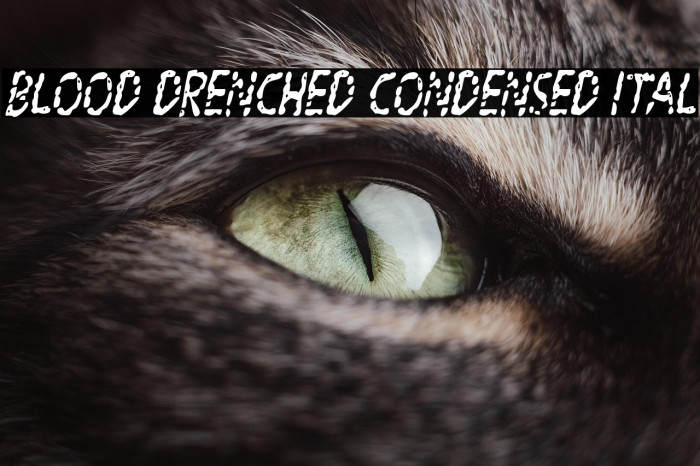 Blood Drenched Condensed Ital Example 2