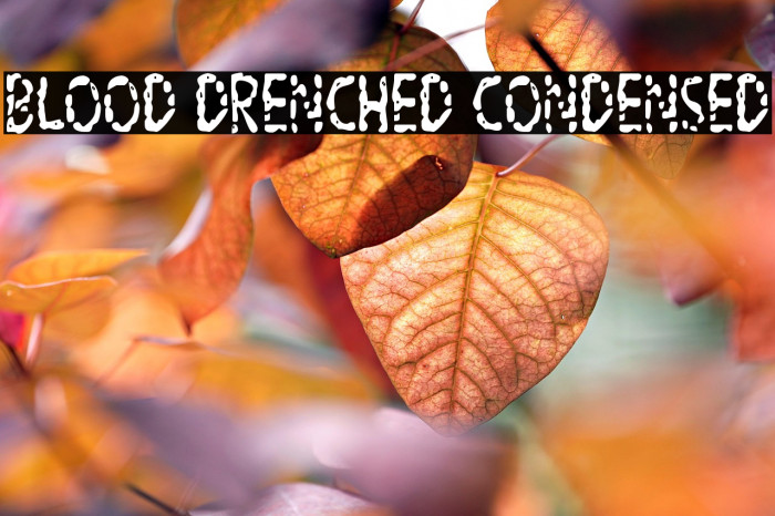 Blood Drenched Condensed Example 1