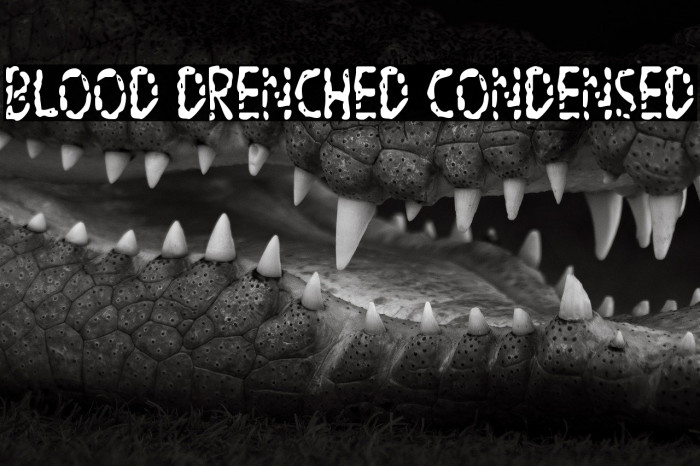 Blood Drenched Condensed Example 2