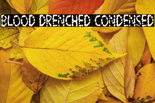Blood Drenched Condensed Example 3