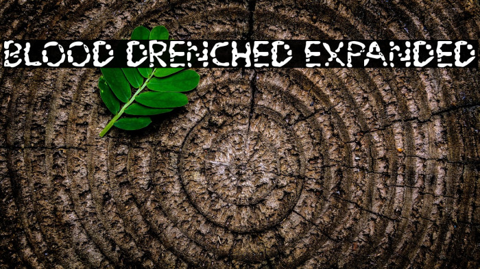 Blood Drenched Expanded Example 2