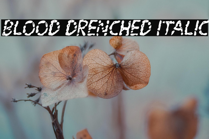 Blood Drenched Italic Example 2