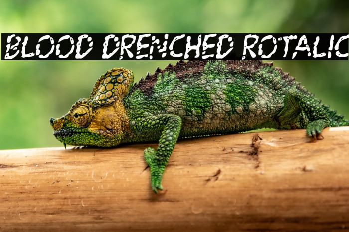 Blood Drenched Rotalic Example 1