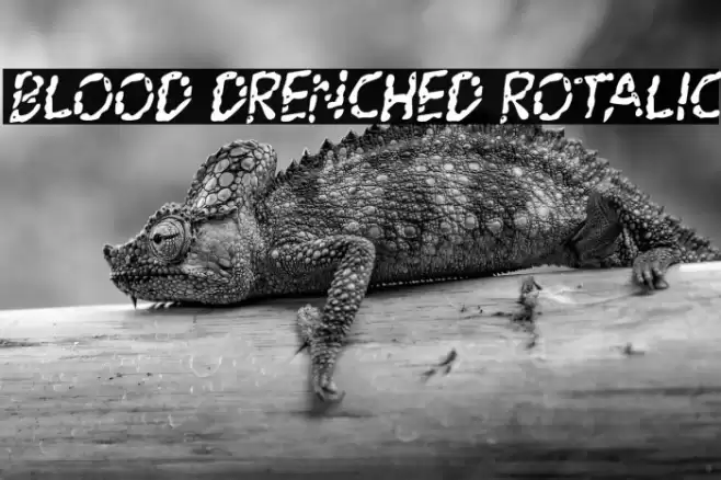 Blood Drenched Rotalic Font examples