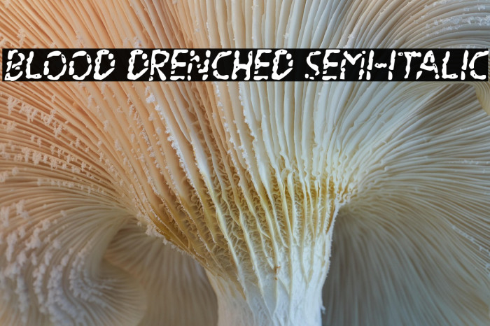 Blood Drenched Semi-Italic Example 1