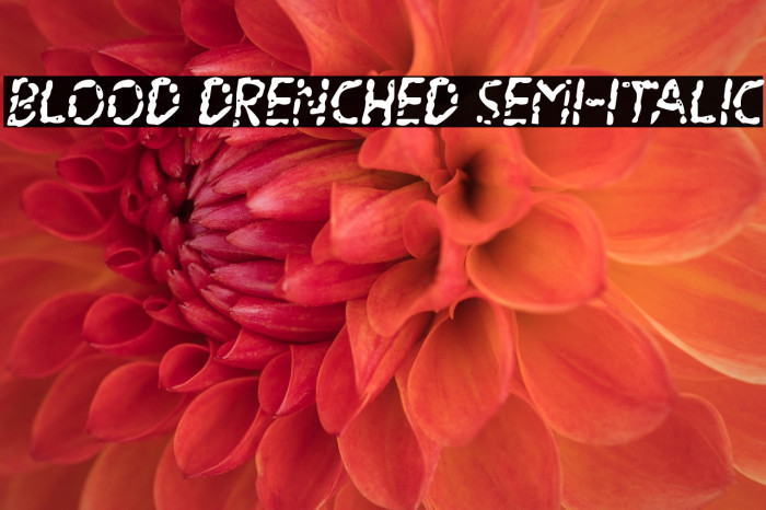Blood Drenched Semi-Italic Example 3