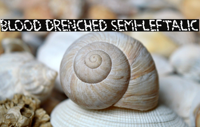 Blood Drenched Semi-Leftalic Example 1