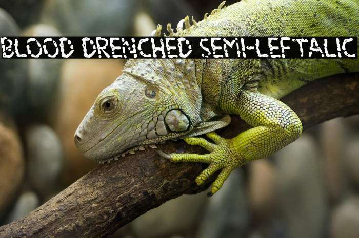 Blood Drenched Semi-Leftalic Example 2