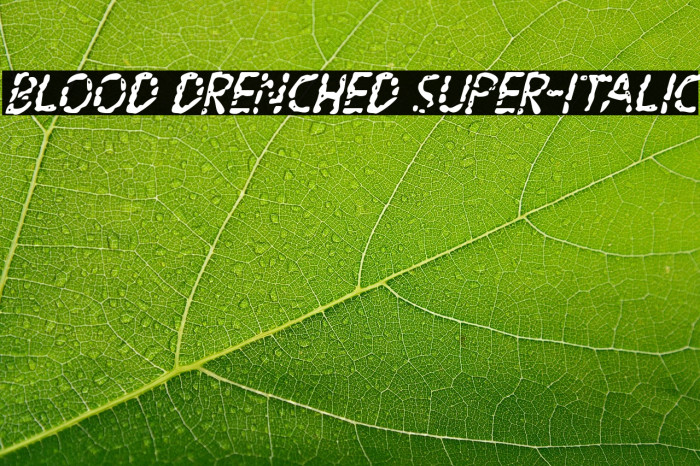 Blood Drenched Super-Italic Example 1