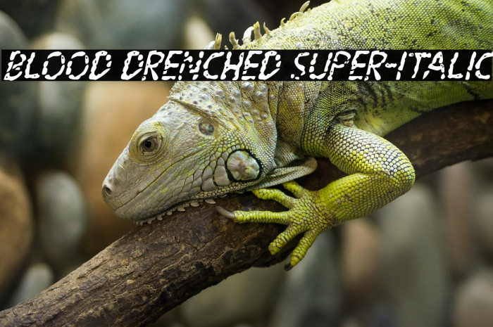 Blood Drenched Super-Italic Example 3