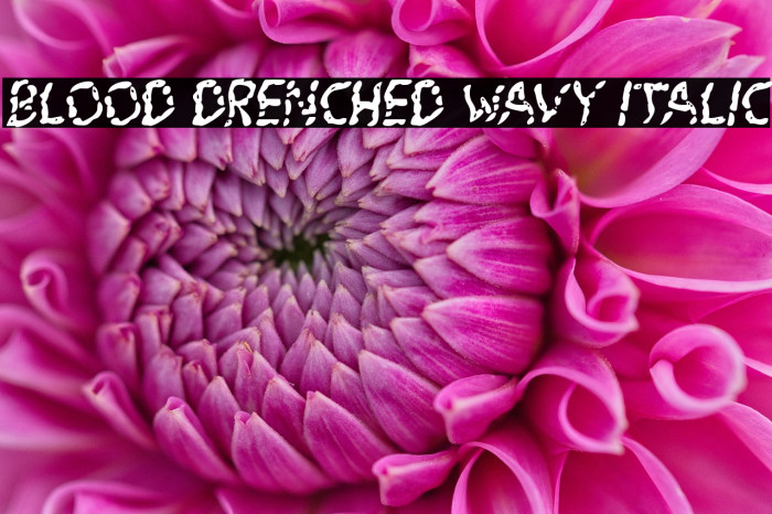Blood Drenched Wavy Italic Example 2