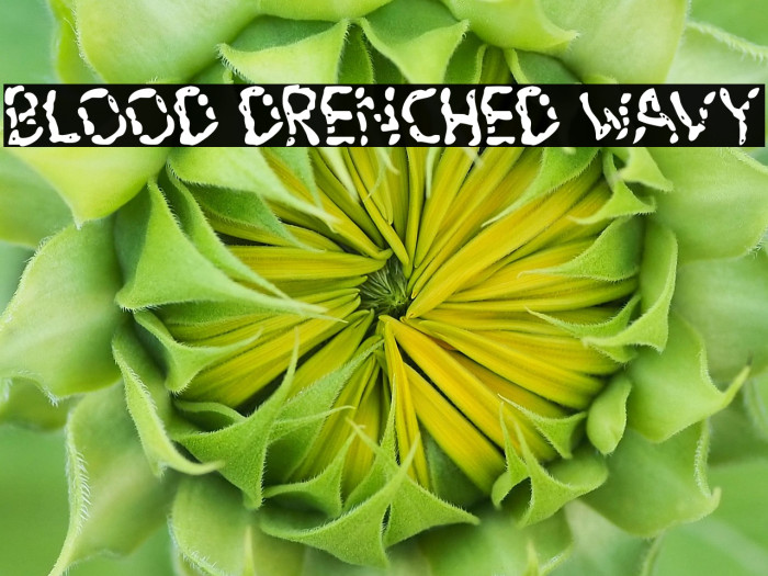 Blood Drenched Wavy Example 2