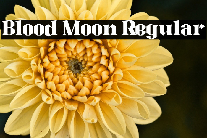 Blood Moon Regular Example 3