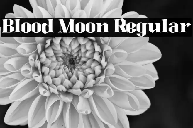 Blood Moon Regular Font examples