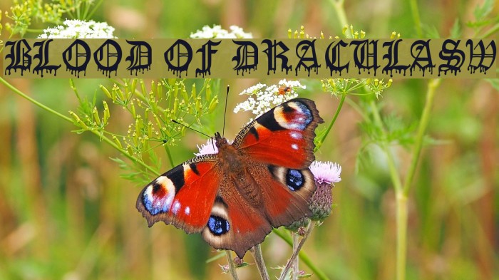 Blood Of DraculaSW Example 1