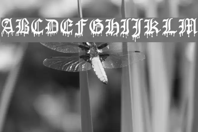 Blood Of Dracula Font examples