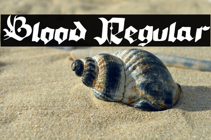 Blood Regular Example 3