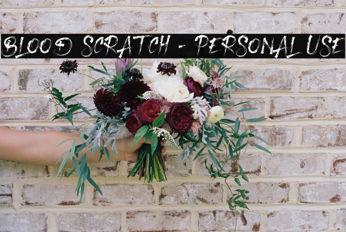 Blood Scratch - Personal Use Example 1