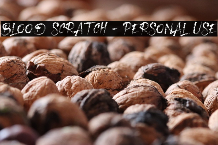 Blood Scratch - Personal Use Example 2