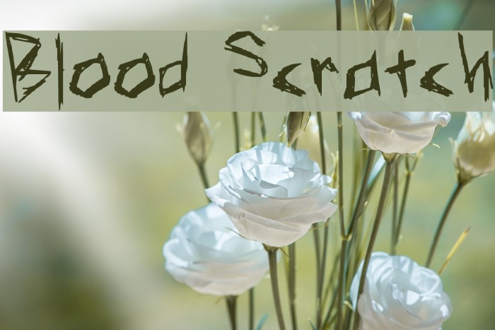 Blood Scratch Font examples