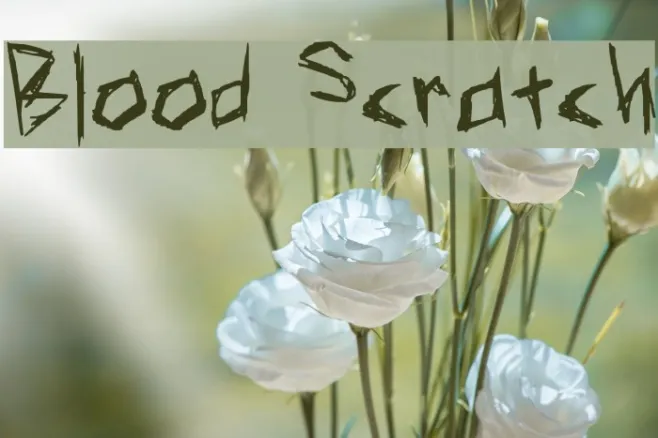 Blood Scratch Example 1