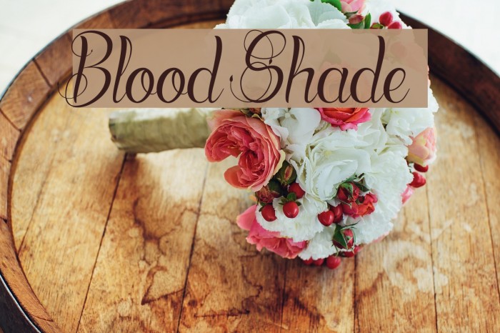 Blood Shade Font examples