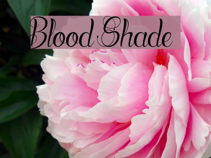 Blood Shade Font examples