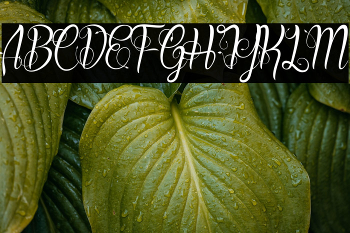 Blood Shade_PersonalUseOnly Example 3