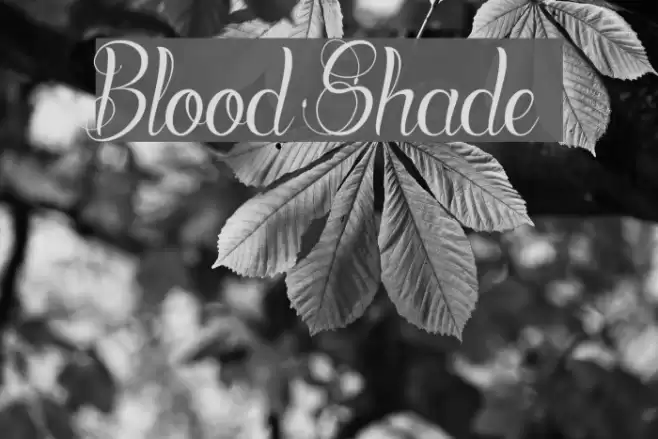 Blood Shade Font examples