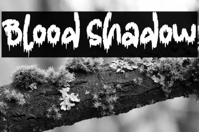 Blood Shadow Font examples