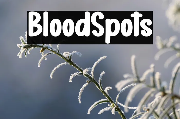 Blood Spots Example 3