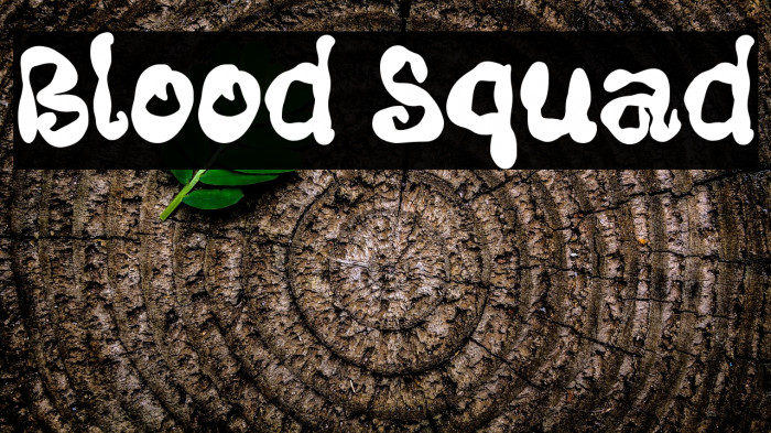 Blood Squad Example 3