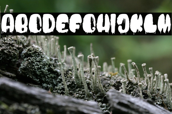 BloodBoldDriped Example 1