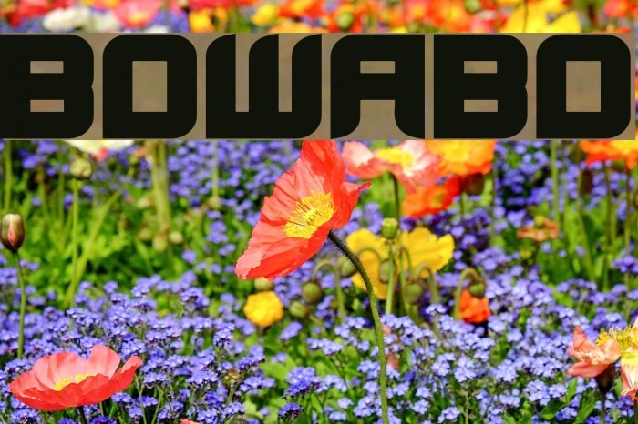 BloodWaxBold Font examples