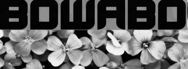 BloodWaxBold Font examples