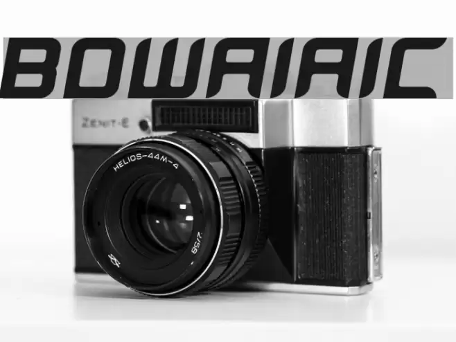 BloodWaxItalic Font examples