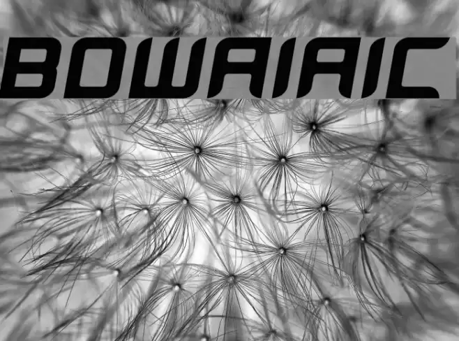 BloodWaxItalic Font examples