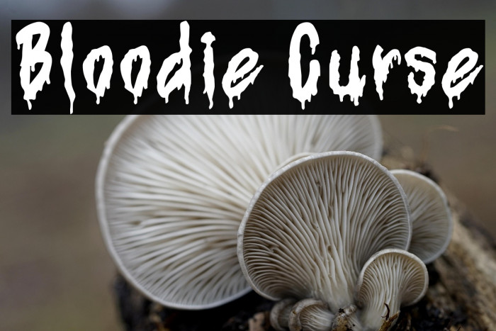 Bloodie Curse Caratteri examples