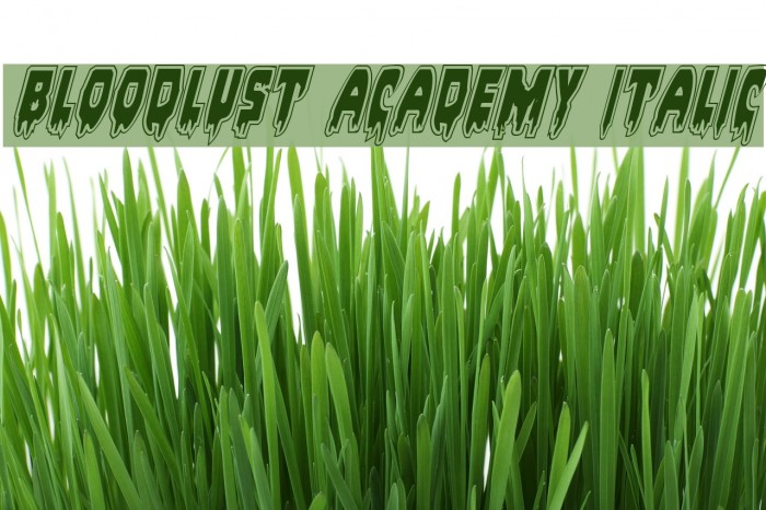 Bloodlust Academy Italic Font examples