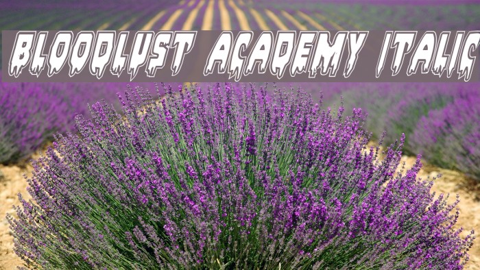Bloodlust Academy Italic Font examples