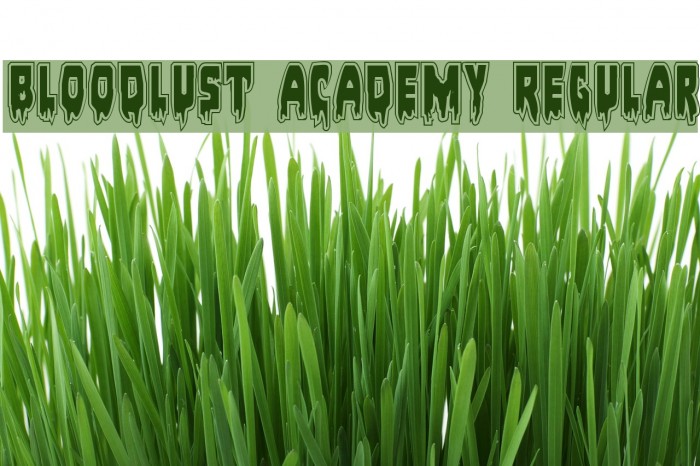 Bloodlust Academy Regular Example 3
