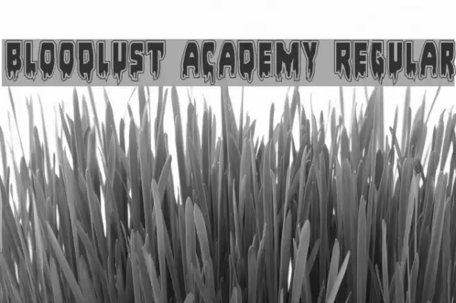 Bloodlust Academy Regular Font examples