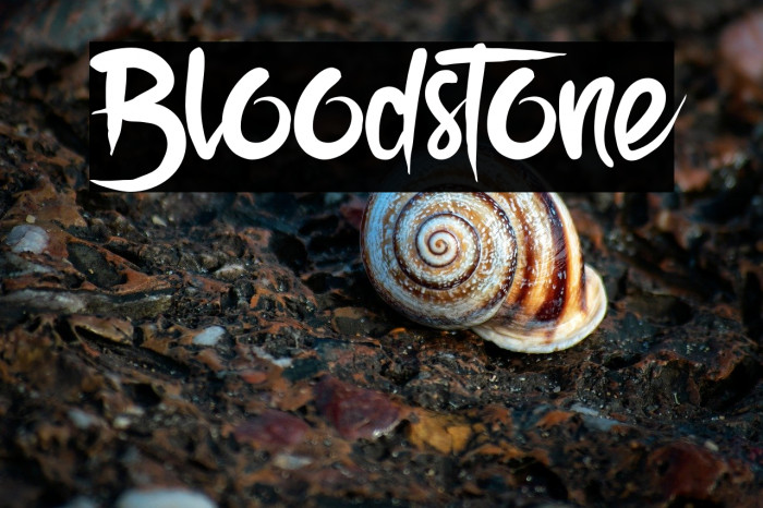 Bloodstone Example 1