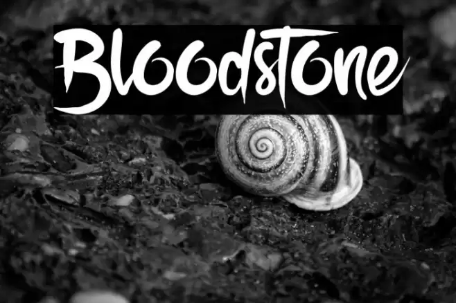 Bloodstone Font examples