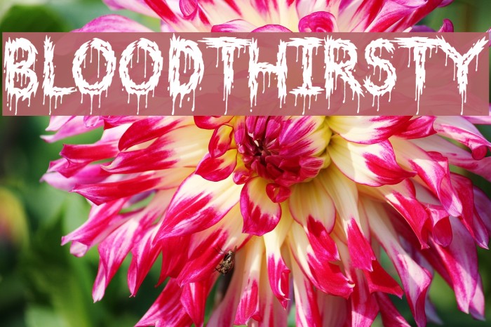 Bloodthirsty Font examples
