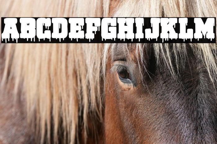 Bloody Lake University Example 3