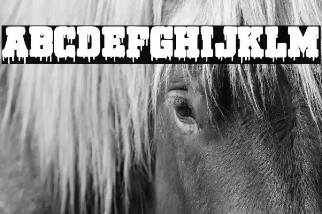 Bloody Lake University Font examples