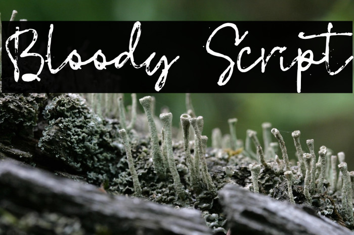 Bloody Script Example 1