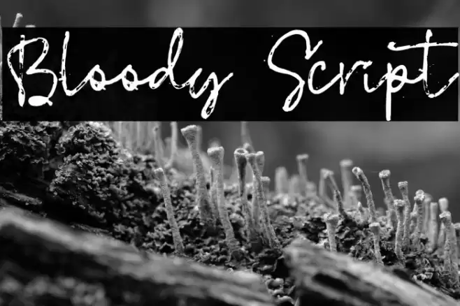 Bloody Script Font examples
